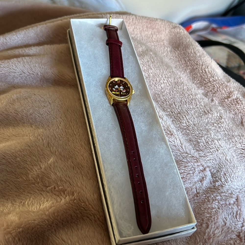 NWOT Disney Watch